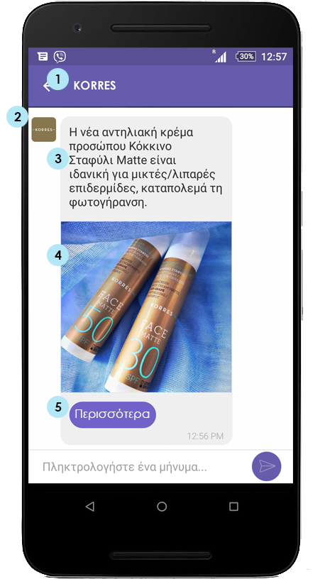 Phone showing a Viber business message (viber sender, message, included image and button) 